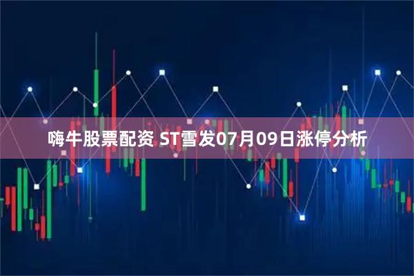嗨牛股票配资 ST雪发07月09日涨停分析